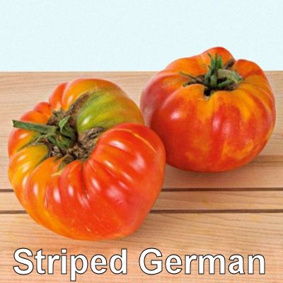 04striped_german_400.jpg