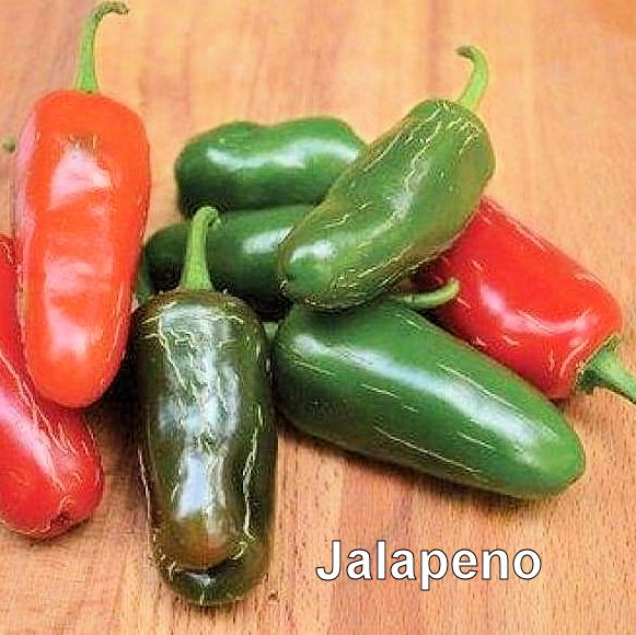 06early-jalapeno400.jpg